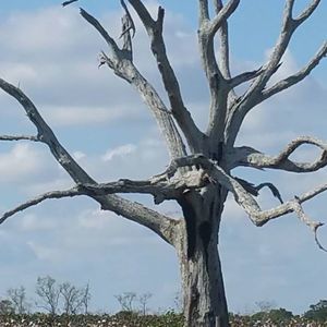 Meet your Posher, Janice